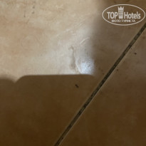 фото из отзыва ID 2329526