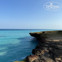 фото из отзыва ID 2329559