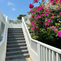 фото из отзыва ID 2329586