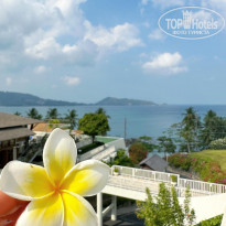 фото из отзыва ID 2329586