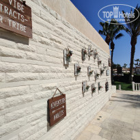 фото из отзыва ID 2329617