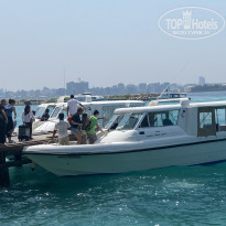 фото из отзыва ID 2328870