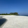 фото из отзыва ID 2328870