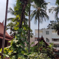 фото из отзыва ID 2329601