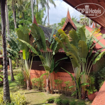 фото из отзыва ID 2329601