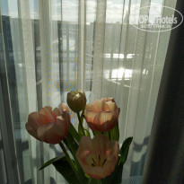 фото из отзыва ID 2329738