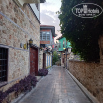 фото из отзыва ID 2329877