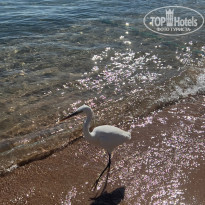 фото из отзыва ID 2329882