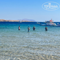 фото из отзыва ID 2329882