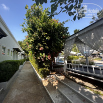 фото из отзыва ID 2329990