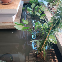 фото из отзыва ID 2322461