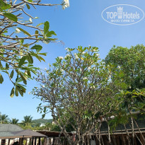 фото из отзыва ID 2322461