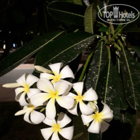 фото из отзыва ID 2324592