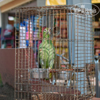 фото из отзыва ID 233348