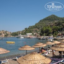 фото из отзыва ID 233483