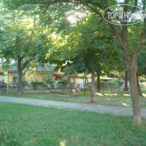 фото из отзыва ID 233808