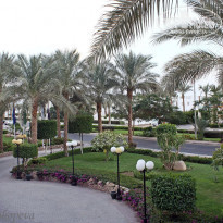 фото из отзыва ID 233851