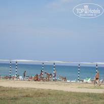 фото из отзыва ID 233874