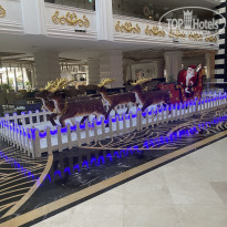 фото из отзыва ID 2330002