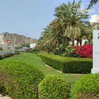 фото из отзыва ID 2330015