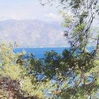 фото из отзыва ID 2330096