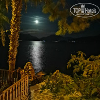 фото из отзыва ID 2330096