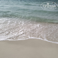 фото из отзыва ID 2330148