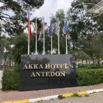 фото из отзыва ID 2330214