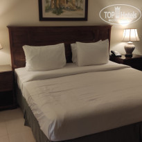 фото из отзыва ID 2330237