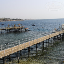 фото из отзыва ID 2330303