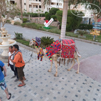 фото из отзыва ID 2330355