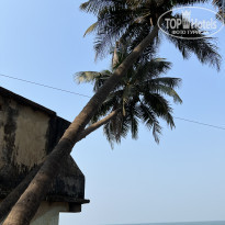 фото из отзыва ID 2330344