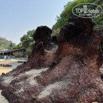 фото из отзыва ID 2330344