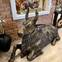 фото из отзыва ID 2330344