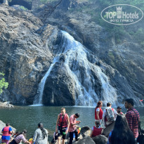 фото из отзыва ID 2330344