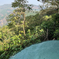 фото из отзыва ID 2330344