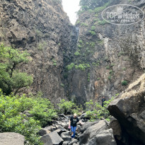 фото из отзыва ID 2330344