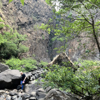 фото из отзыва ID 2330344