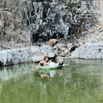 фото из отзыва ID 2330344