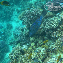 фото из отзыва ID 2330303