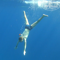 фото из отзыва ID 2330303