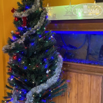 фото из отзыва ID 2330449