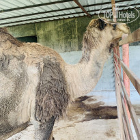 фото из отзыва ID 2330581