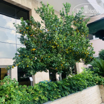 фото из отзыва ID 2330581