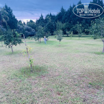 фото из отзыва ID 2330581