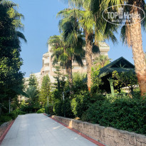 фото из отзыва ID 2330581