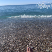 фото из отзыва ID 2330581