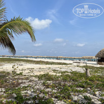 фото из отзыва ID 2330645