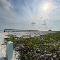 фото из отзыва ID 2330645