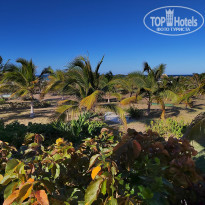 фото из отзыва ID 2330647